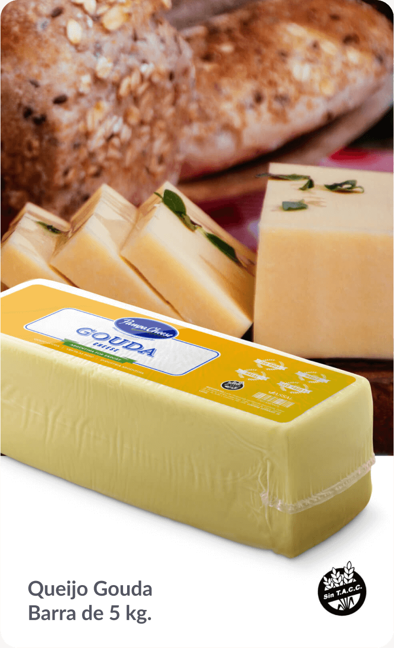 Pampa Cheese - Queijo Gouda