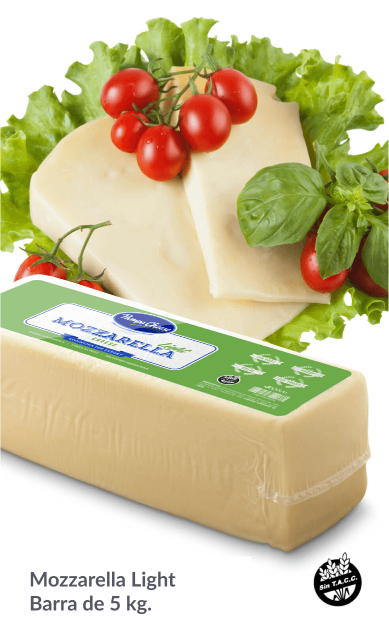 Pampa Cheese - Queijo Mozzarella Light